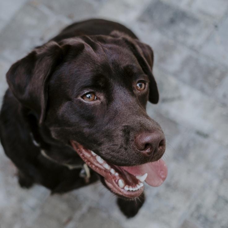 Portrait of Nova Rinaldi, group coordinator and fusion cooking expert